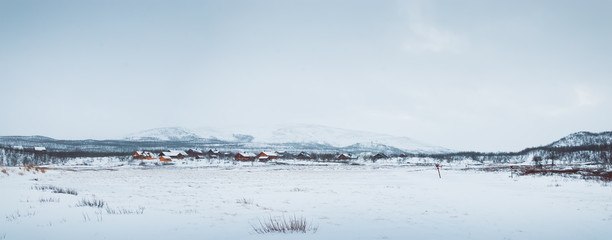 Winter landscape of the tundra