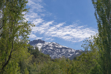 Obraz premium summer view of the mountains. Foreground forest. in the distance are houses. edging trees. Sunny summer in the mountains.