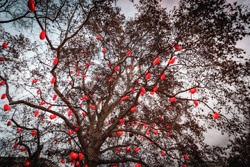 Chrismas markets at Rathausplatz in Vienna, lighted ornate tree on which hearts are hung