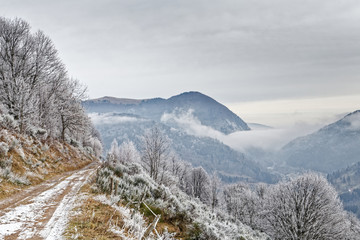 Givre sur les Vosges
