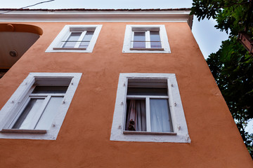 kitten looking from the window of a low-rise building