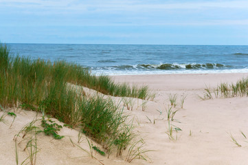 Fototapeta na wymiar Steep sea coast of the Baltic sea. High seashore.