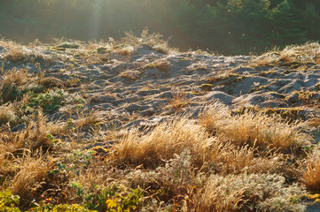 Sandy beach in the sun at sunset.