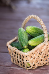Harvest delicious fresh cucumbers in a wicker basket