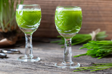 Two glasses of barley grass juice, with fresh barley grass in the background