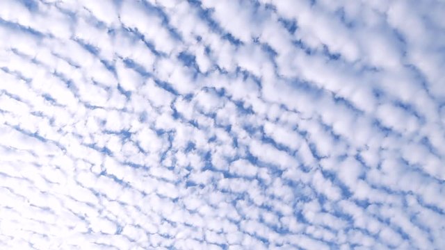 巻積雲（11月）