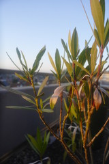 Blick von der Terrasse