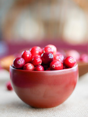 Close up Cranberries