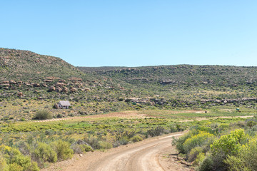 Ruin and rooibos tea field on the Rooibos Heritage Route
