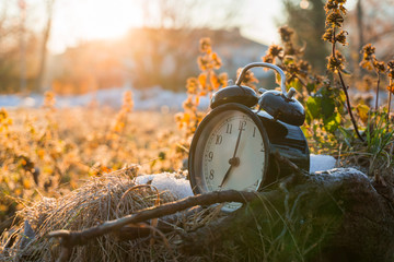 MORNING ALARM CLOCK IN A COLD ICY GRASS WITH SUNRISE