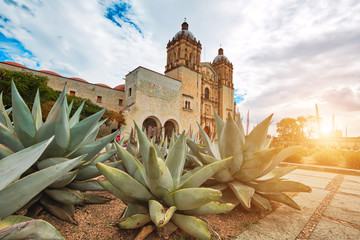 Landmark Santo Domingo Cathedral in historic Oaxaca city center - obrazy, fototapety, plakaty