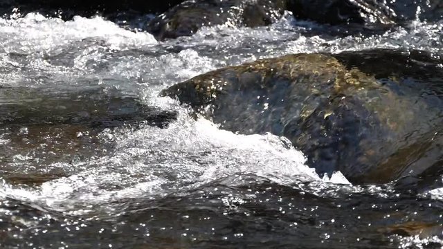 水の流れ（長良川-岐阜県郡上市）スローモーション