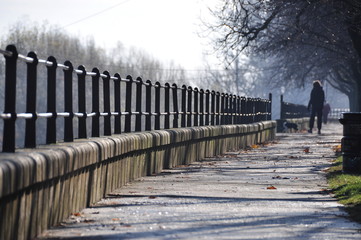 steel fence in autumn