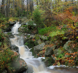 Herbst an der Hoegne