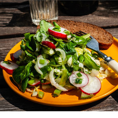 Salad of lettuce, onions and radishes
