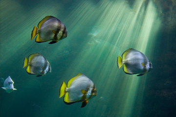 Fototapety na wymiar - Fototapeta24.pl