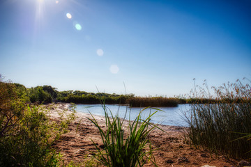 A suny day in the lake coast