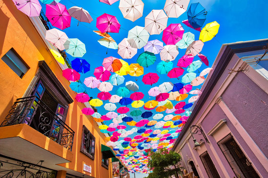 Jalisco Images – Browse 15,504 Stock Photos, Vectors, and Video | Adobe  Stock