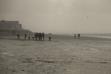 Family with kids and dogs in Normandy beach Le Touquet at winter