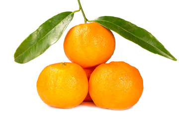 Tangerines with green leaf isolate on a white background