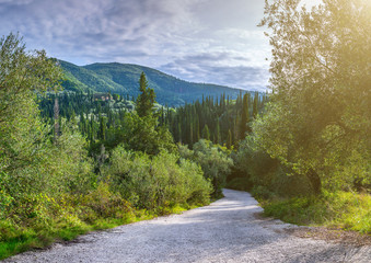 Beautiful summer panoramic landscape. Cypress hills and green mountain slopes. The road going through the thickets of subtropical forest. Somewhere on Corfu. Greece. Mediterranean sea. Europe.