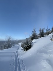 winter landscape scenery with cross country skiing way