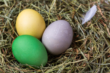 Naklejka na ściany i meble Easter eggs in a nest