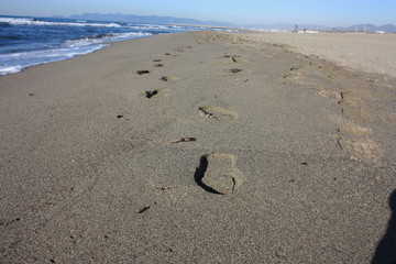 desolate blue sea. sandy beach and slightly rough sea. a clear winter's day.