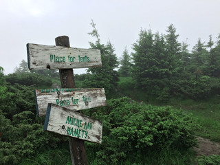 Wooden signpost in the mountains with the inscription - a place for a tent. Against the backdrop of trees in the fog.