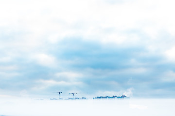 Fototapeta na wymiar The winter landscape with the blue and white clouds and the buildings hiden by the mist or fog