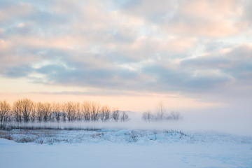 The winter landscape of snowy field or wasteland with the trees hiden by the mist or fog in the rays of sunrise or sunset
