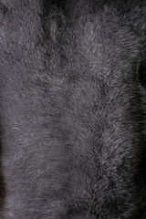 Fototapeta premium Natural fur for texture or background. Luxury and elegant fluffy clothes.