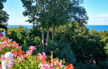 Obraz premium View over the geraniums and trees on the Baltic Sea. In Lohme on the island of Rügen.