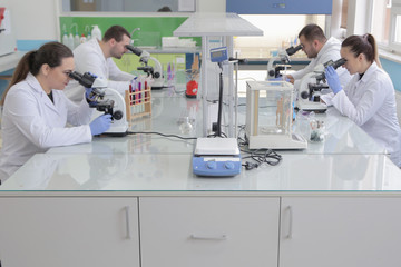 Group of young Laboratory scientists working at lab with test tu