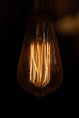 Decorative bulbs in vintage style Edison