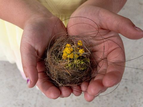 Young girl holding a hummingbird nest 