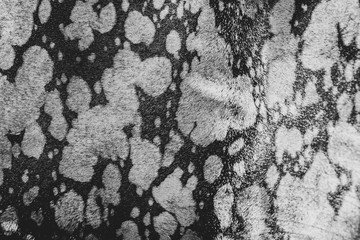 Natural fur for texture or background. Luxury and elegant fluffy clothes. Nature fashion concept.