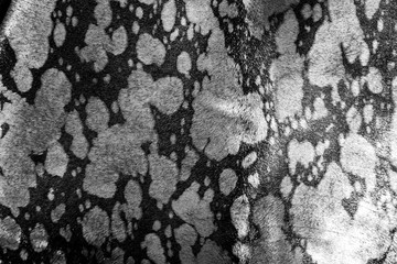 Natural fur for texture or background. Luxury and elegant fluffy clothes. Nature fashion concept.