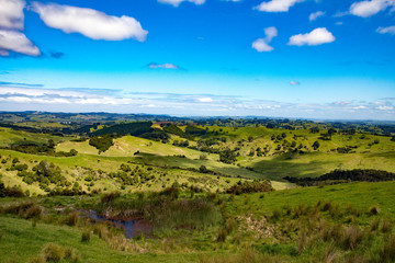 Fototapeta premium Scenic Views Of New Zealand