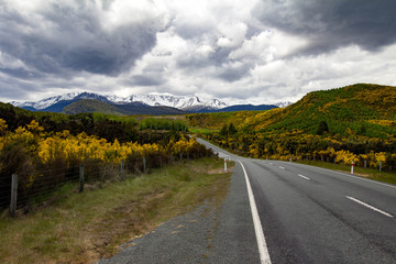 Scenic Views Of New Zealand