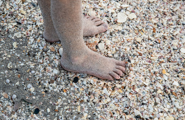 A little girl's sandy feet along a shell-covered beach