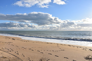 vast of the winter coast