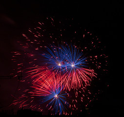 Fototapeta premium The Firework on the black Sky in the Detail