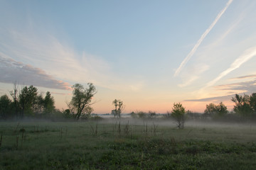 Fototapeta premium Misty morning over the meadow