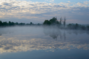 Misty morning over the river