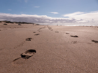 Footprint across the beach
