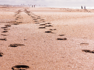Footprint across the beach