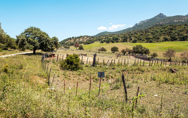 Fototapeta premium Fields of Andalusia in Spain on a sunny day