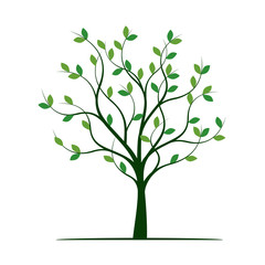 Green Tree with Leaves. Vector Illustration.