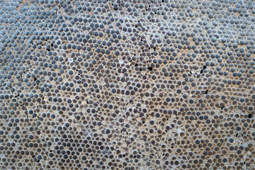 Nailhead Surface Texture